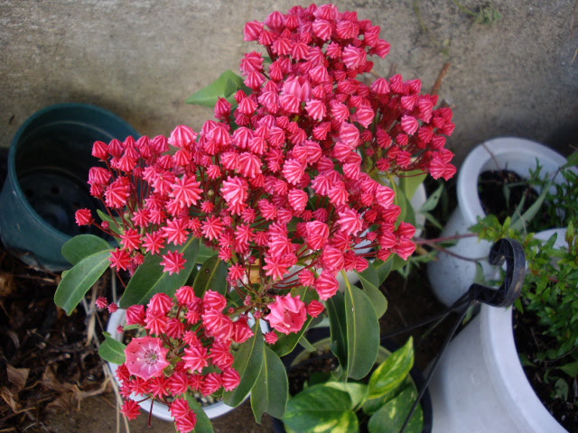 b0011334_22332013.jpg