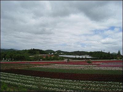 a0055835_2195311.jpg