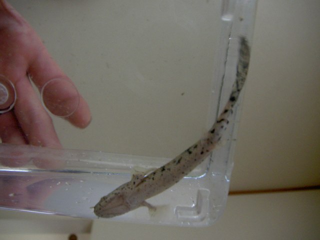 f0168539_2293874.jpg