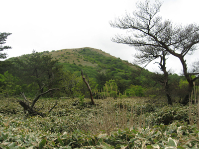 e0110940_1026036.jpg