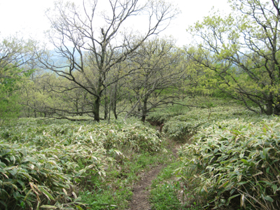 e0110940_10263176.jpg