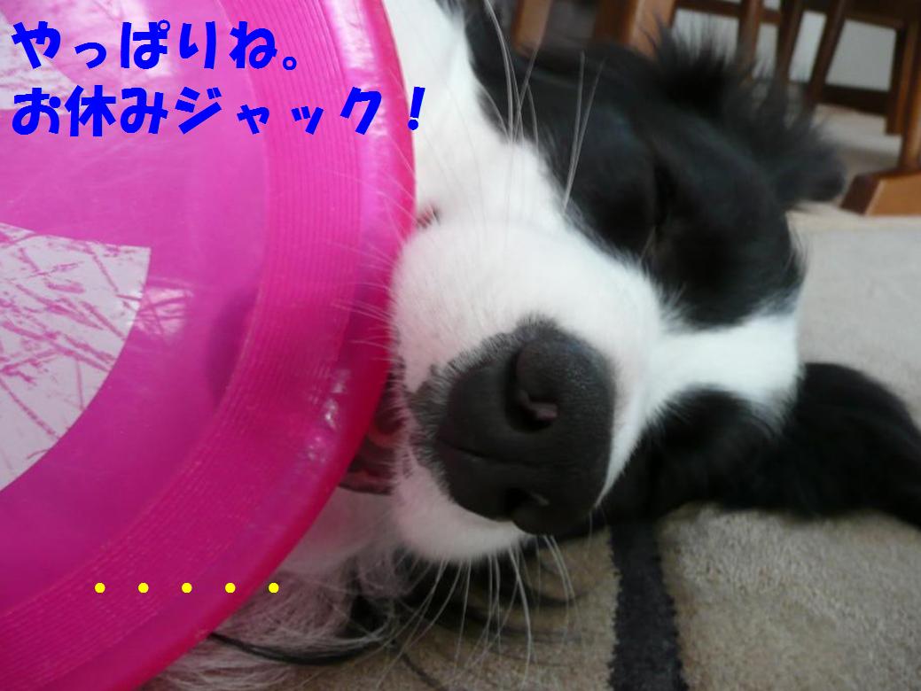 c0147241_2352310.jpg