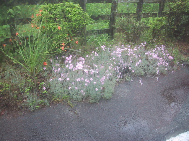 f0046250_16295842.jpg
