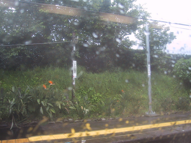 f0046250_16303928.jpg
