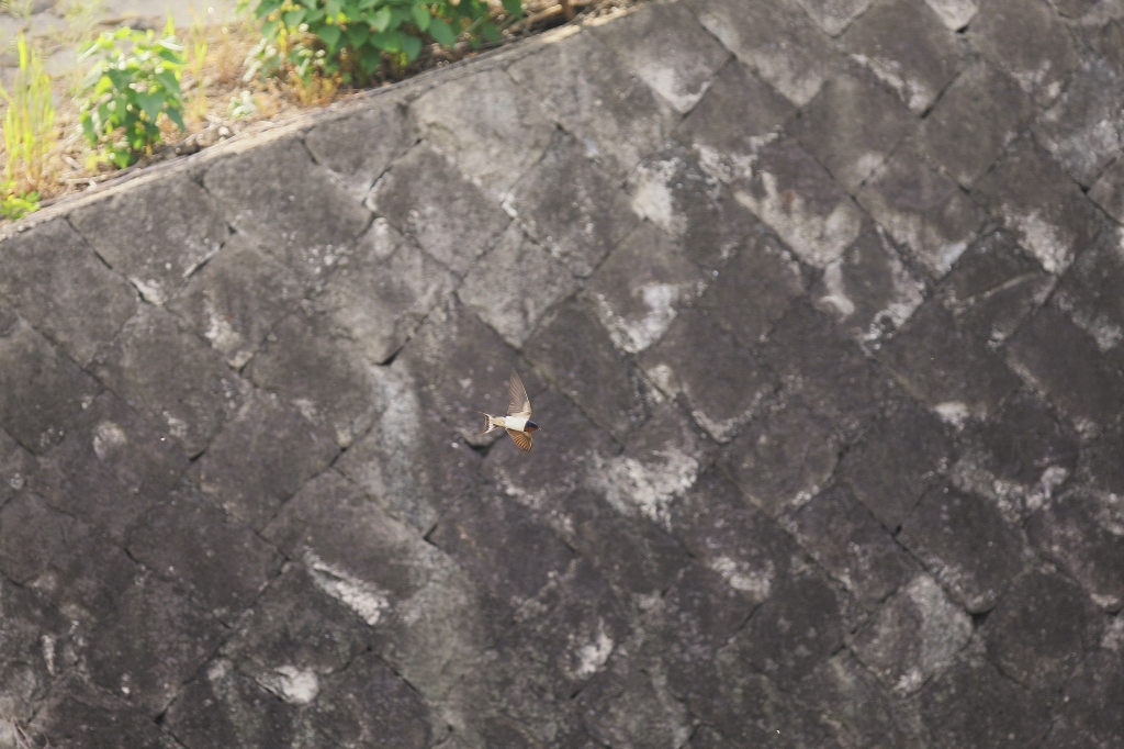 f0049152_23314919.jpg