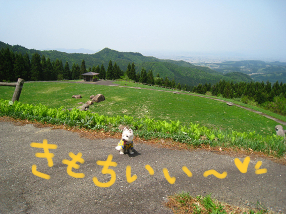 d0134156_14165877.jpg