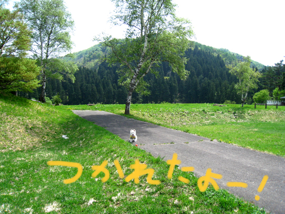 d0134156_14212049.jpg