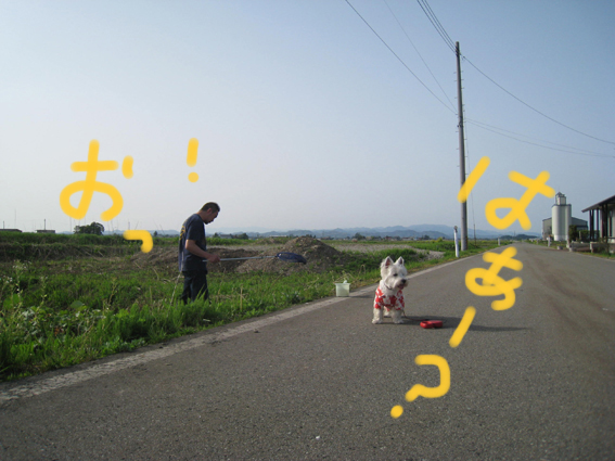 d0134156_1426562.jpg