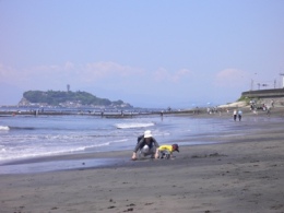 b0138661_19305959.jpg