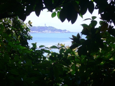 b0138661_223169.jpg