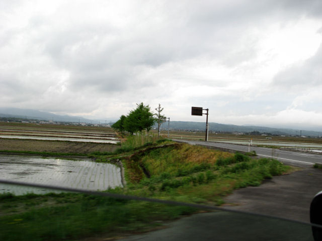 d0079373_1233597.jpg