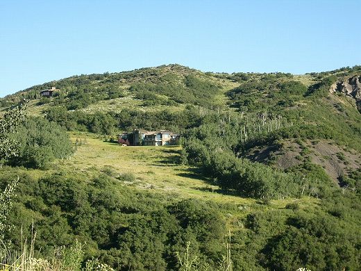 f0163873_1954062.jpg