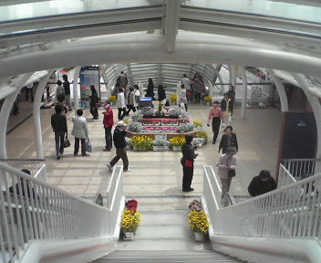 d0056881_2044535.jpg