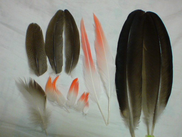 c0157482_2159542.jpg