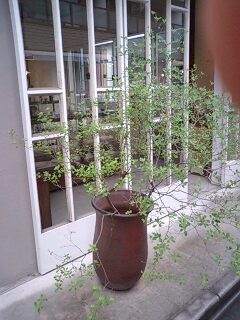 f0166982_21414341.jpg