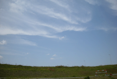 e0066883_20101765.gif