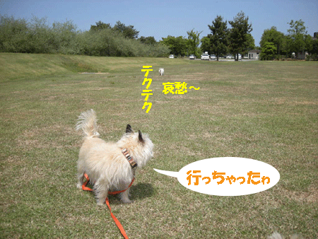 e0066883_20184510.gif