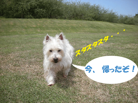 e0066883_2019986.gif