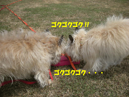e0066883_2025050.gif