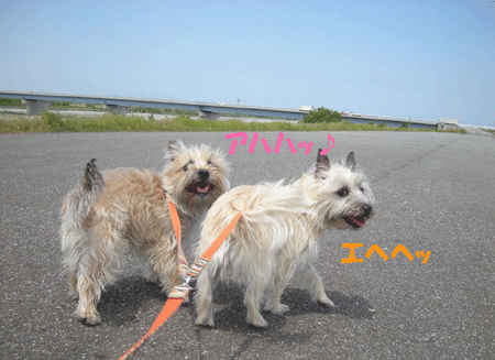 e0066883_2162676.gif