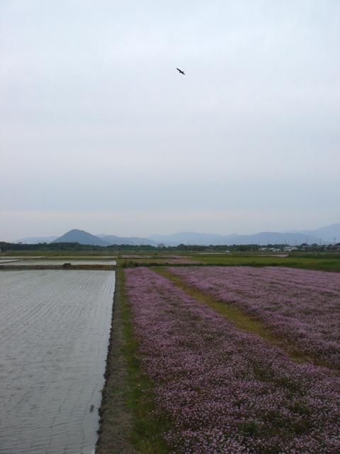 e0111793_13361428.jpg