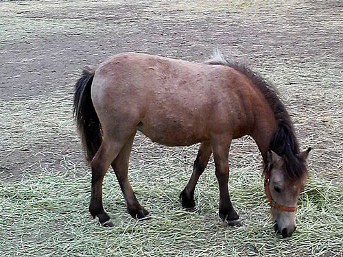 f0001895_23532423.jpg