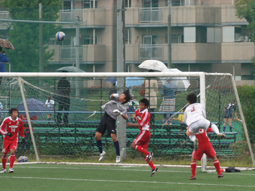 b0005596_527845.jpg