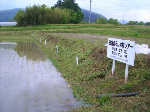 d0069498_9373535.jpg
