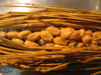 e0049598_14435233.jpg