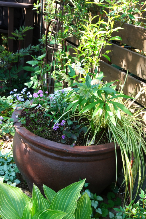 f0002701_7352159.jpg