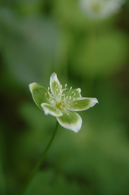 f0157901_2158393.jpg