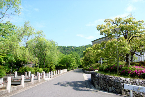 e0024206_18325468.jpg
