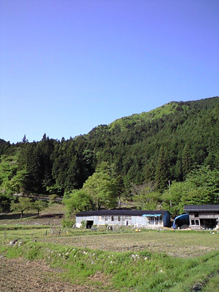 f0135908_21234530.jpg