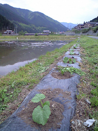 f0135908_21263219.jpg