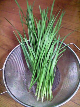 f0135908_21283528.jpg