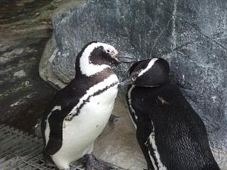 e0047610_22584990.jpg