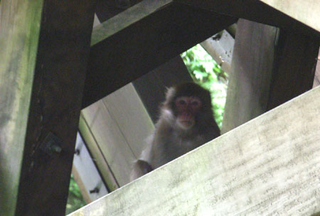 f0040711_14411855.jpg