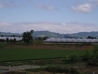 f0092416_1794057.jpg