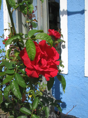 e0141819_17331555.jpg