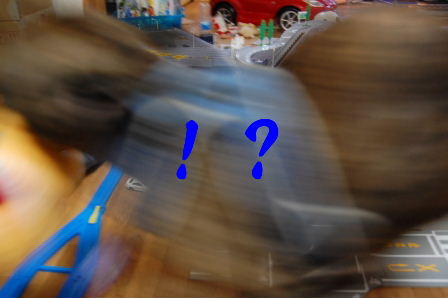 c0130324_2125201.jpg