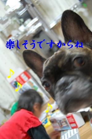 c0130324_21354392.jpg