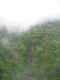 e0018024_137323.jpg