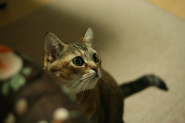 f0055228_20575952.jpg