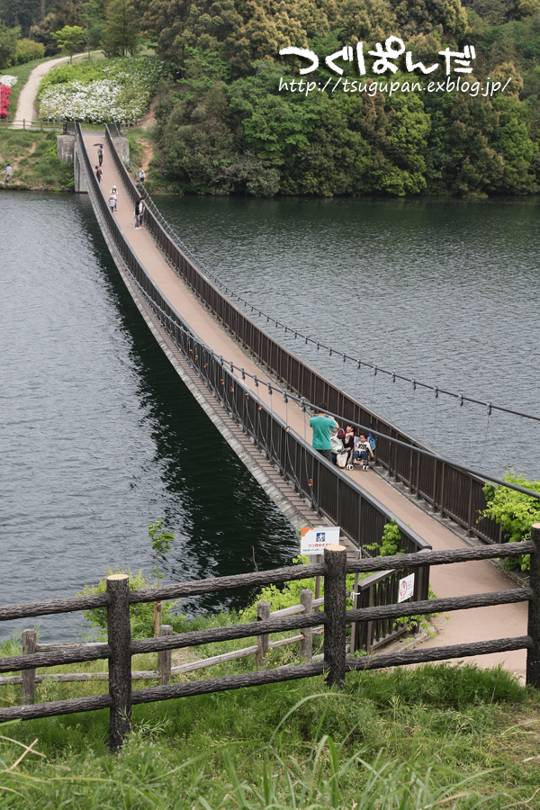 f0153628_17779.jpg