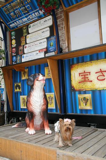 f0124830_2340123.jpg