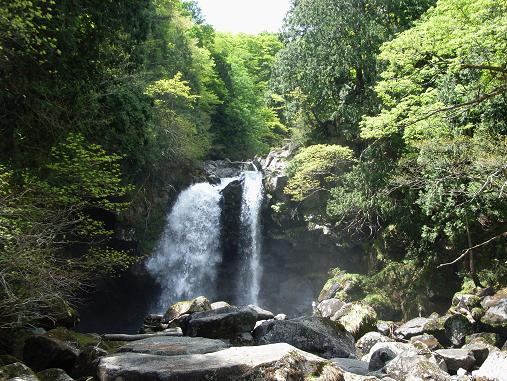 f0118332_22524299.jpg