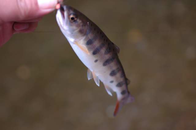 c0133133_14275365.jpg