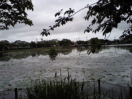 d0007234_7192352.jpg
