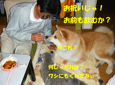 f0008935_111957.gif