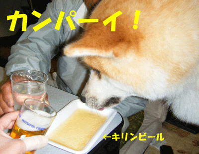 f0008935_11377.gif